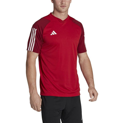 adidas Tiro 23 Competition Marškinėliai M HE5661