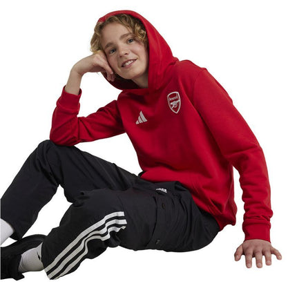 Adidas Arsenal London Jr IT4091 džemperis