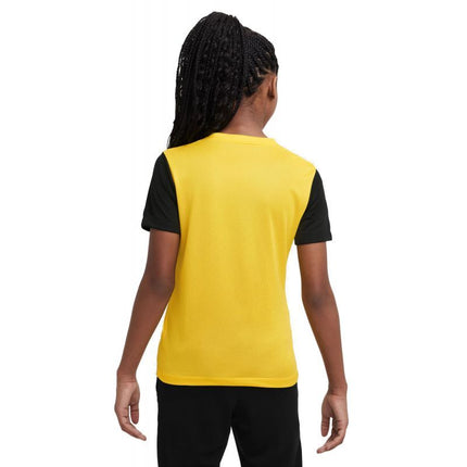Nike Dri-Fit Tiempo Premier 2 Jr Marškinėliai DH8389-719