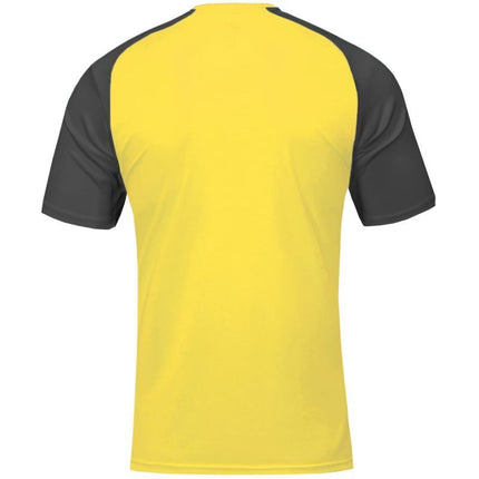 Joma Academy IV Sleeve Football Shirt 101968.901