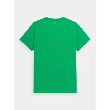 Marškinėliai 4F M 4FSS23TTSHM311-41S