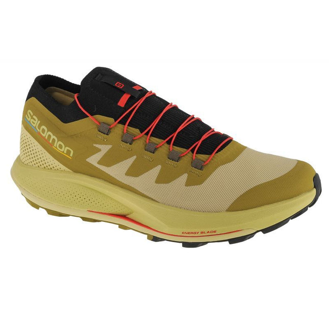 Salomon Pulsar Trail-Pro M 415936 avalynė