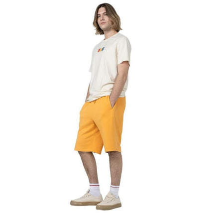 Outhorn Šortai M ACOTHSS23TSHOM132 74S